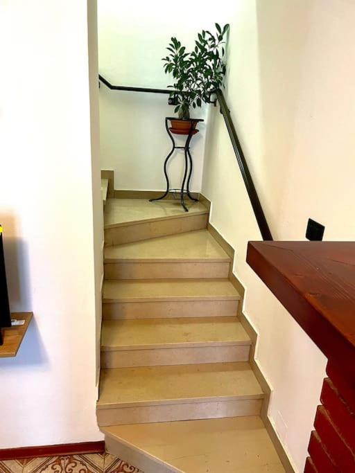 Casa Vacanze Ca' Di Lucchini San Benedetto Val di Sambro Exteriör bild